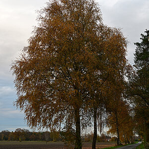 Z8A_1189t5l5s40p1.jpg