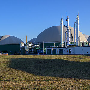 OFZ_02984.jpg