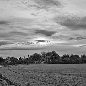 2025_11_24__2019_10_31_Z61_9580.jpg