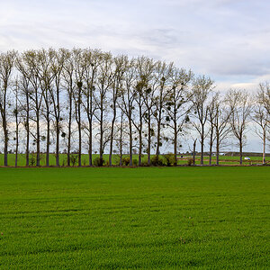 OFZ_02863.jpg