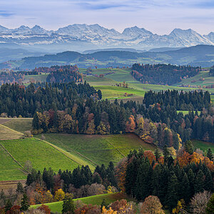 _DZ89301 (4).jpg