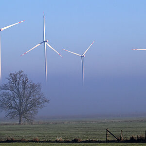 Bodennebel in den Seewiesen.jpg