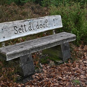 Sett di dol.jpg