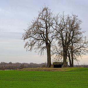 OFZ_02869.jpg