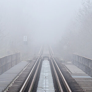 OF-08239.jpg