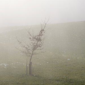 Nebel.jpg