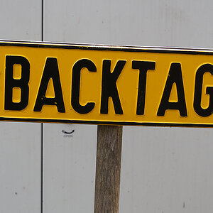 Backtag.jpg