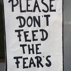 Fear of Fear.jpg