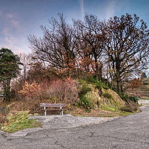 2025_12_02__2025_12_02_080112_0097_D_hdr.jpg
