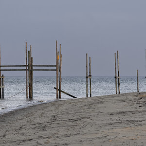 _DSC0996_DxOPxl.jpg