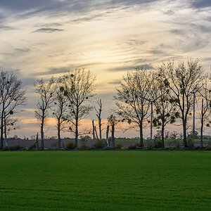 OFZ_02860.jpg