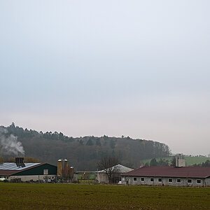 Z8A_1198t5l10fks40p1.jpg