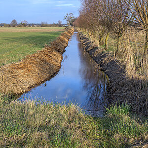 OFZ_02995.jpg