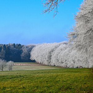 Z50_0672.JPG