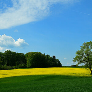 Z50_3359.JPG