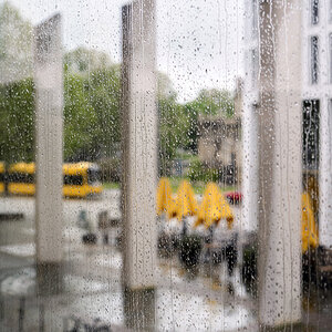 Regen