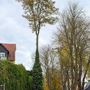 OFZ_02848.jpg