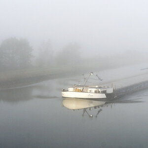 Emma im Nebel.jpg