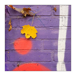 324/365 Element Of Crime – Lieblingsfarben und Tiere © 2025 Sabine Lommatzsch
