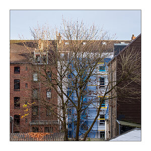 327/365 Richard Ashcroft – A Song For The Lovers © 2025 Sabine Lommatzsch