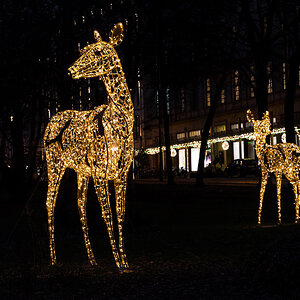 2512-hb-xmas-010.jpg