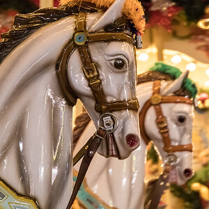 2512-hb-xmas-021.jpg