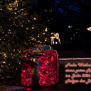 2512-hb-xmas-028.jpg