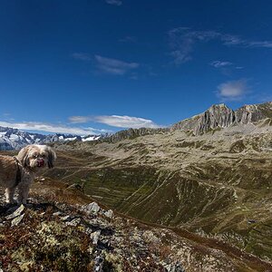 Urlaub2024-8.jpg