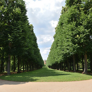 DSC_8692.JPG