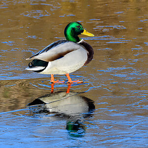 OF5_52551.jpg