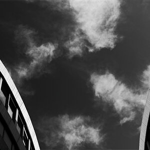 ZFF_1323_2.jpg