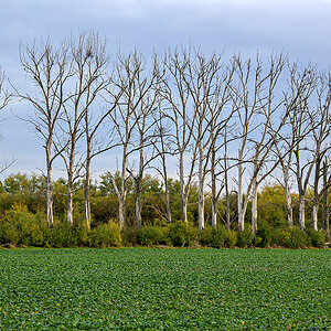 OFZ_02862.jpg