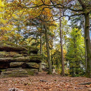 20251017-NZ7_4976.jpg