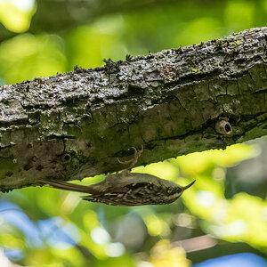 D50_7662-Bearbeitet.jpg