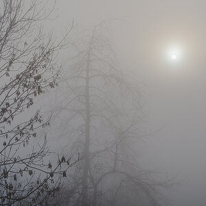 Nebel.jpg
