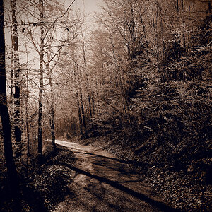 Sepia.jpg