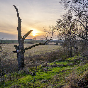 OFZ_03200.jpg
