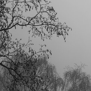 _6005565_DxOAxl.jpg