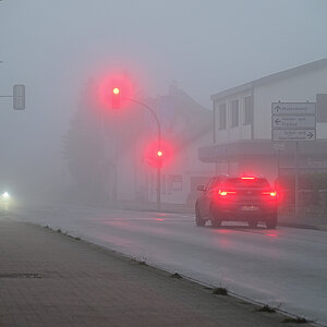 Z8A_1263t4l4fks40p1.jpg
