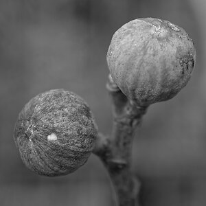 _DSC7605_DxOQAxl_BKS_1.jpg