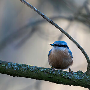 DSC_3957.jpg