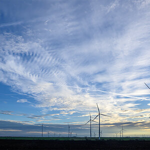 OFZ_03036.jpg