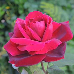 DSCN4316-NF.JPG