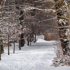 DSC_5645.jpg