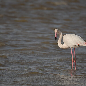 U01_5519-NF.jpg