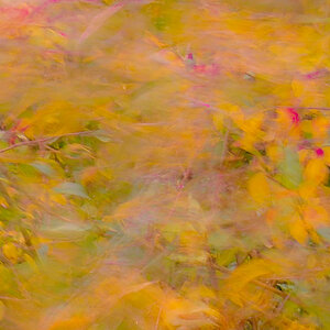 PA130020-Edit-3.jpg