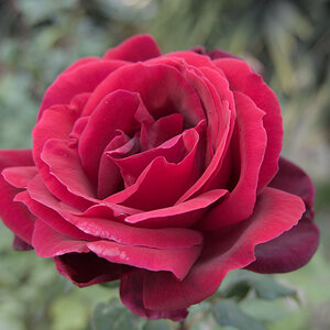 U02_5795-NF.jpg