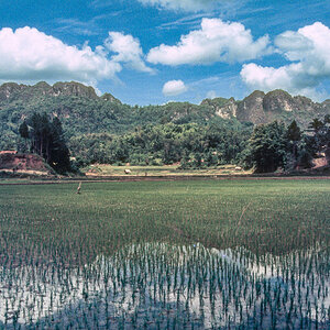 20260105-Indonesien_1993_01_128.jpg