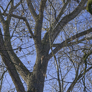 _Z508930_DxOxl.jpg