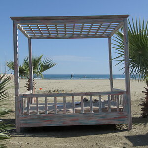 DSCN4355.jpg